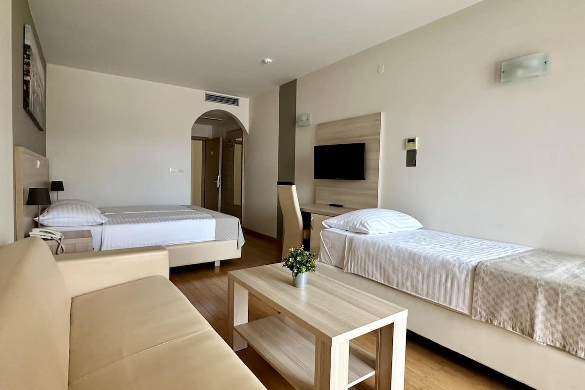 A modern hotel room with a sofa, two single beds, a TV, and a small table with a plant.