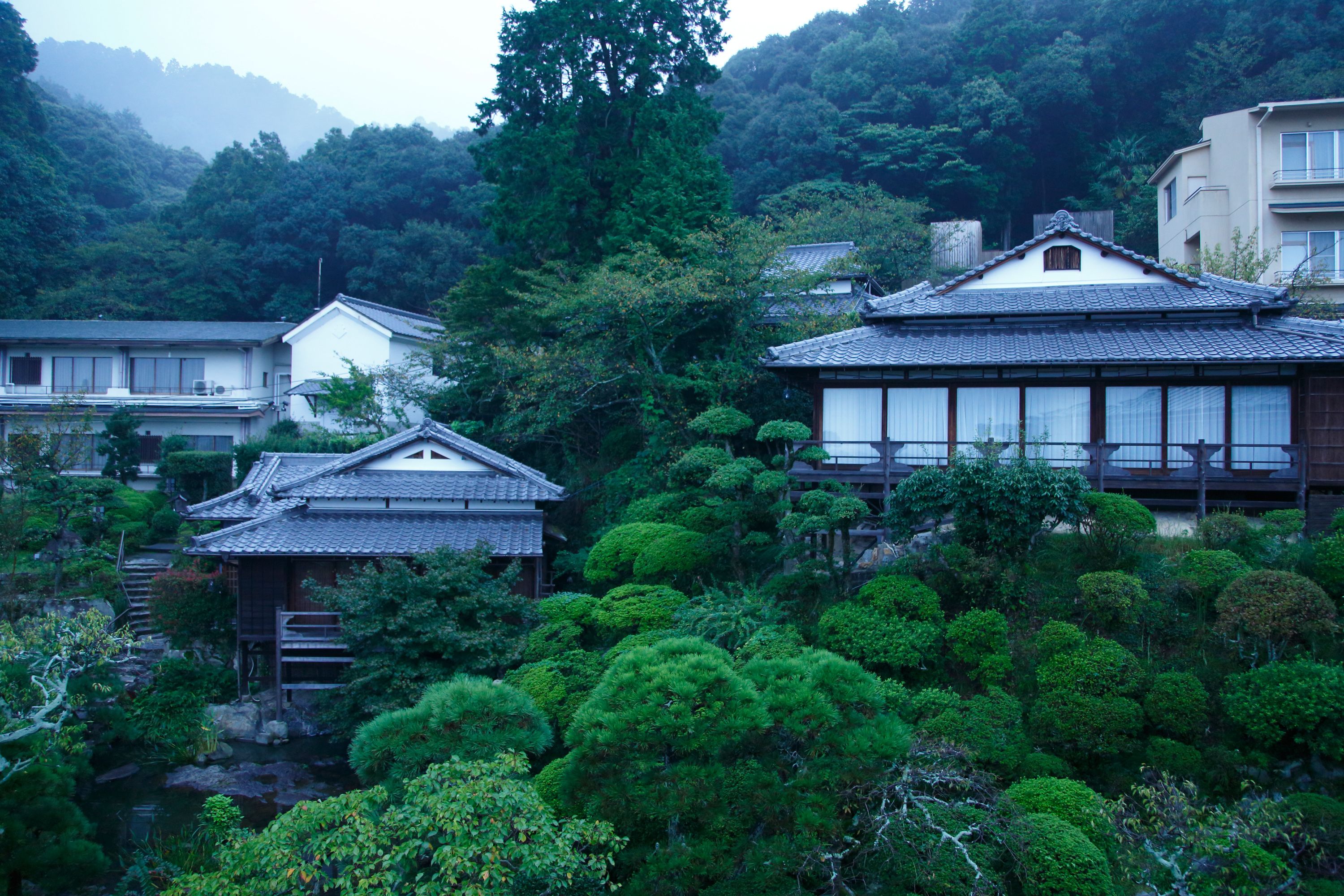 Traditional Japanese houses surrounded by lush greenery and a small pond.