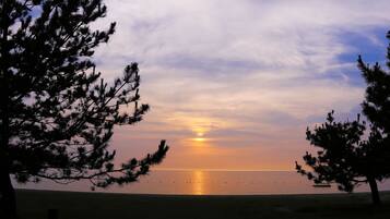 A beach scene with a sunset, trees framing the view, and a calm sea.
