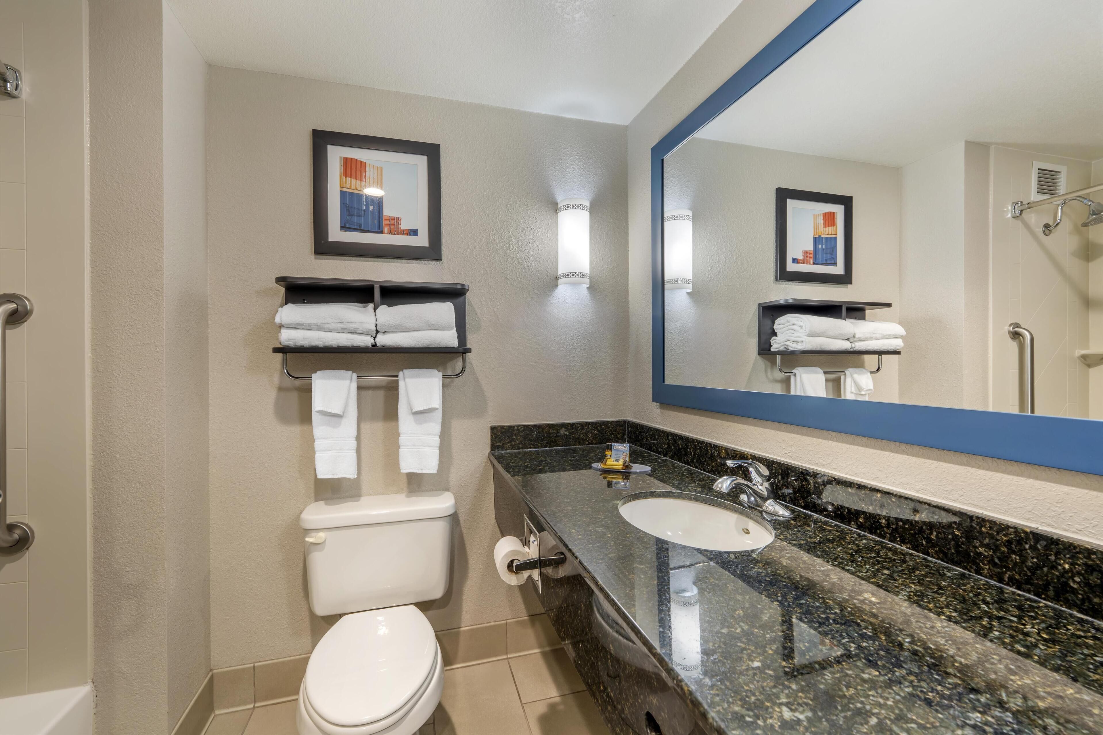 combined shower/bathtub, free toiletries, hair dryer, towels