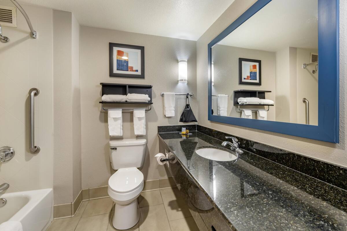 combined shower/bathtub, free toiletries, hair dryer, towels