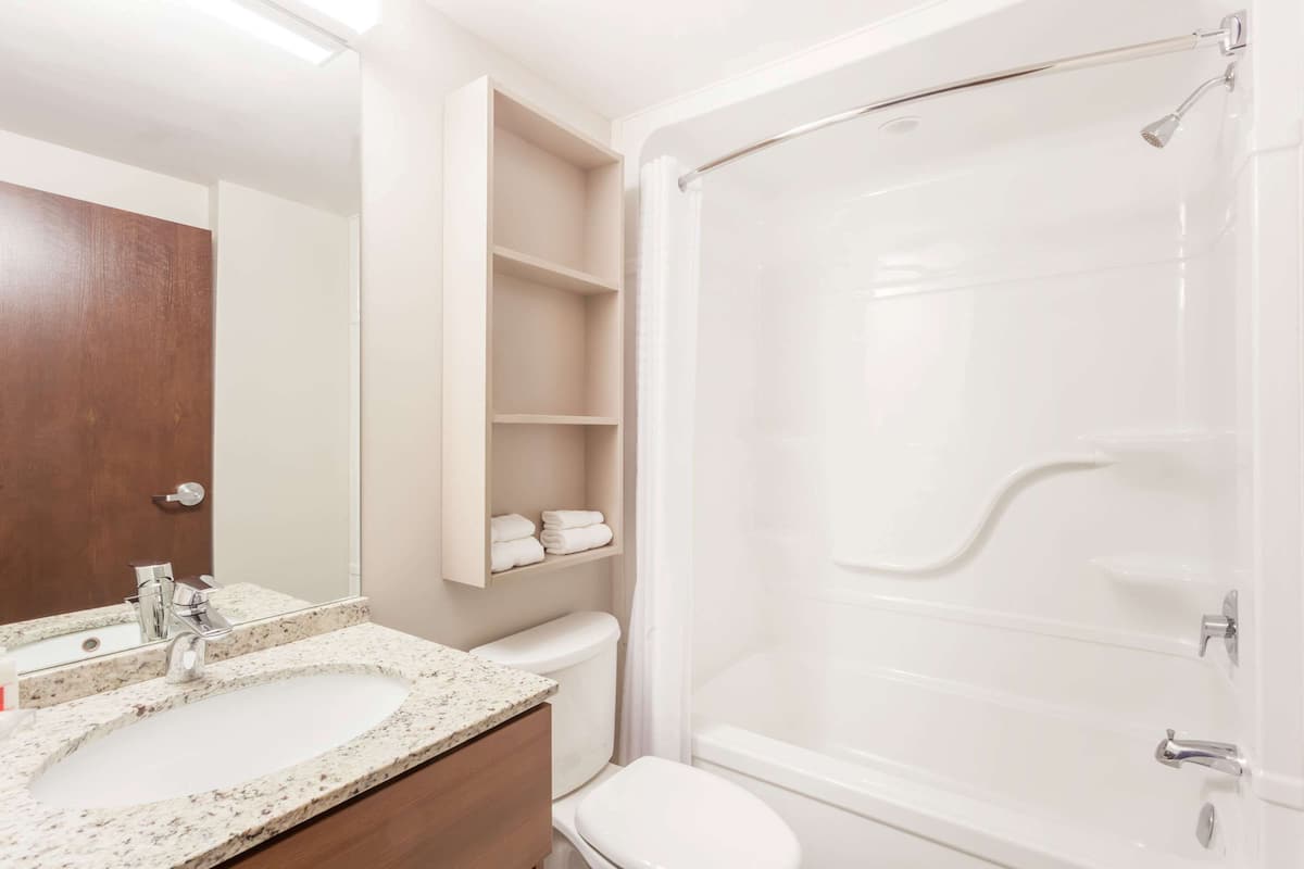 combined shower/bathtub, free toiletries, hair dryer, towels