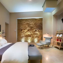 Suite, 1 King Bed (Heritage) | Premium bedding, down comforters, pillowtop beds, free minibar