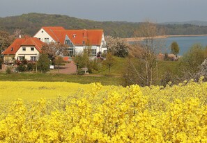 A house with a red roof and white walls, surrounded by a field of yellow flowers and a lake in the background. - Hotel Sonnenhaken (Buschvitz)