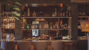 A bar area with seating, bar stools, and shelves of bottles. - Villa de Duinen (Noordwijk)