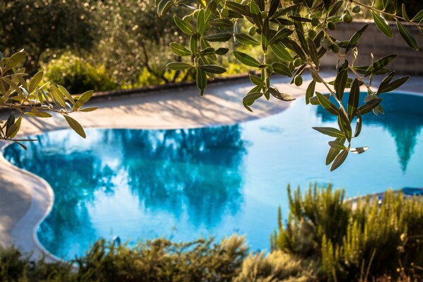 Seasonal outdoor pool, sun loungers - Villa Cilnia (Arezzo)