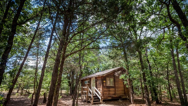 Un chalet rustique entouré de grands arbres, au cœur d’une forêt.