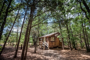 A rustic cabin surrounded by tall trees in a forest. - Lake Texoma RV Campground (Gordonville)