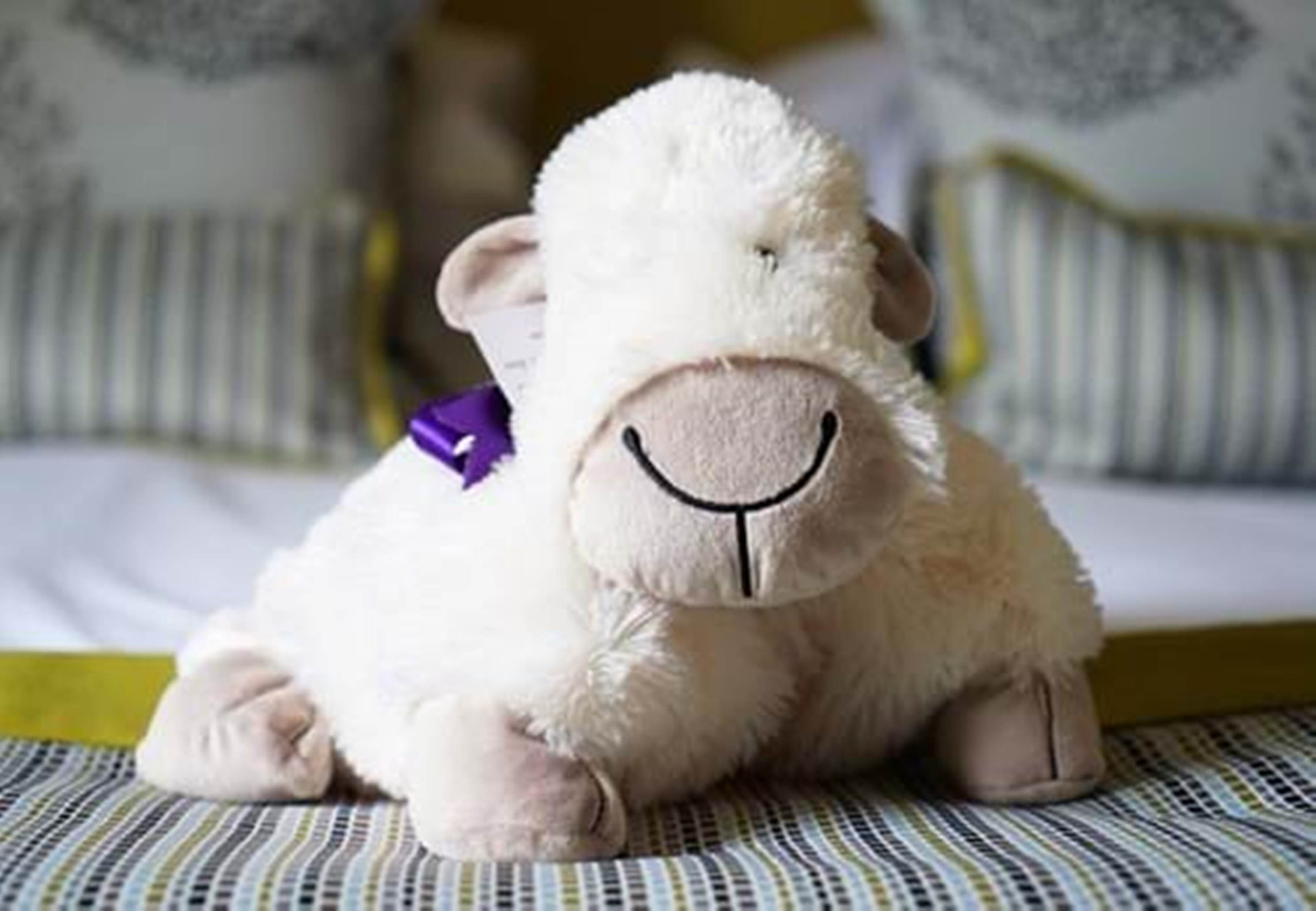 standard double room | living area | tv