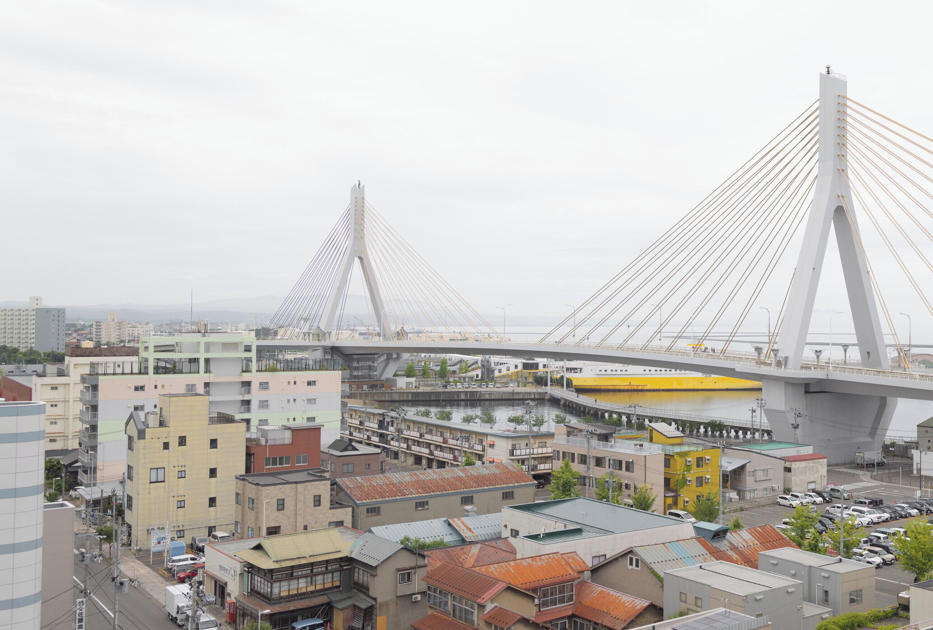 Un ponte moderno con diverse funi, uno skyline urbano con vari edifici e un fiume sottostante.