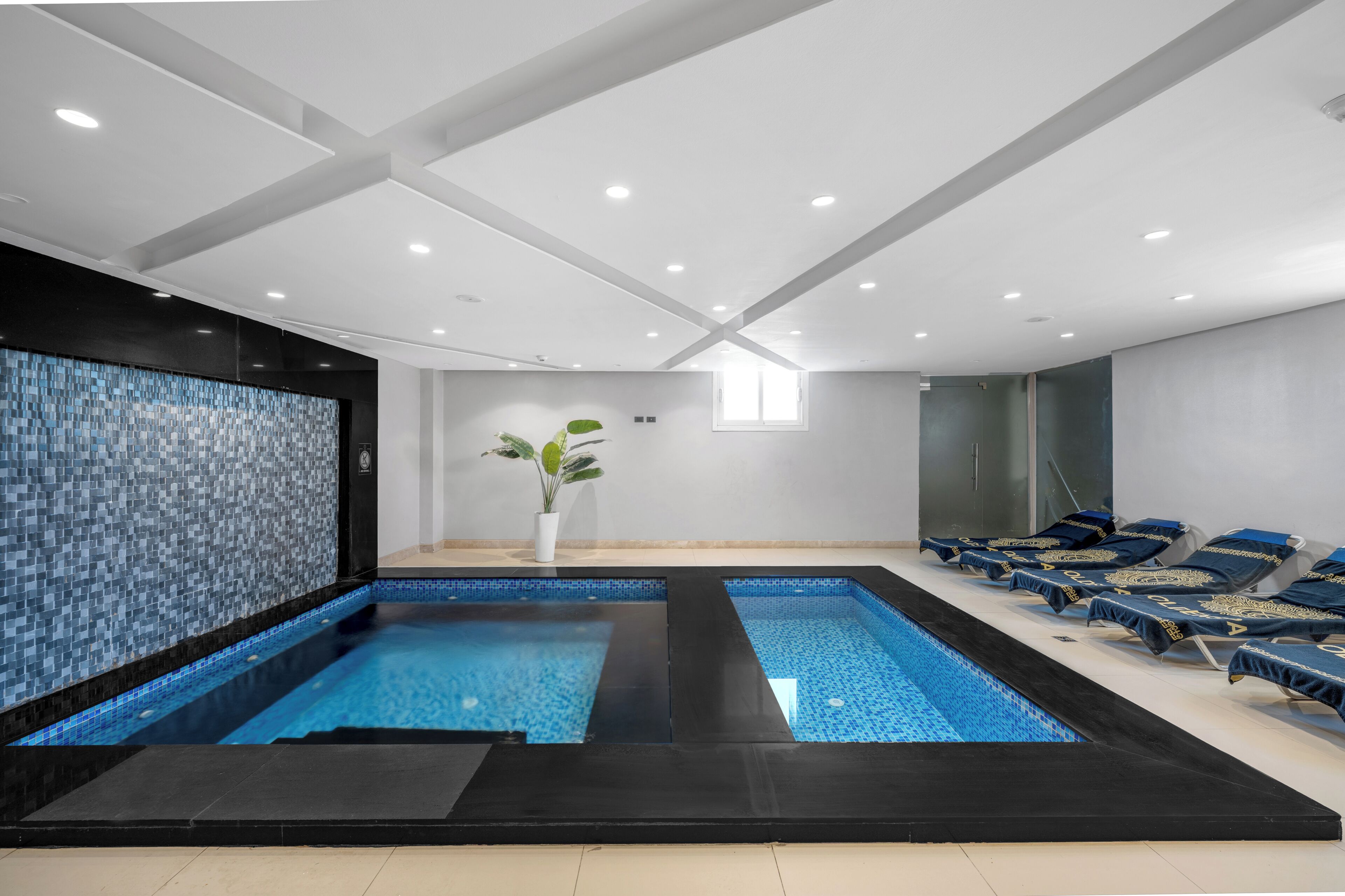 A modern indoor swimming pool with a tiled wall, a potted plant, and lounge chairs.