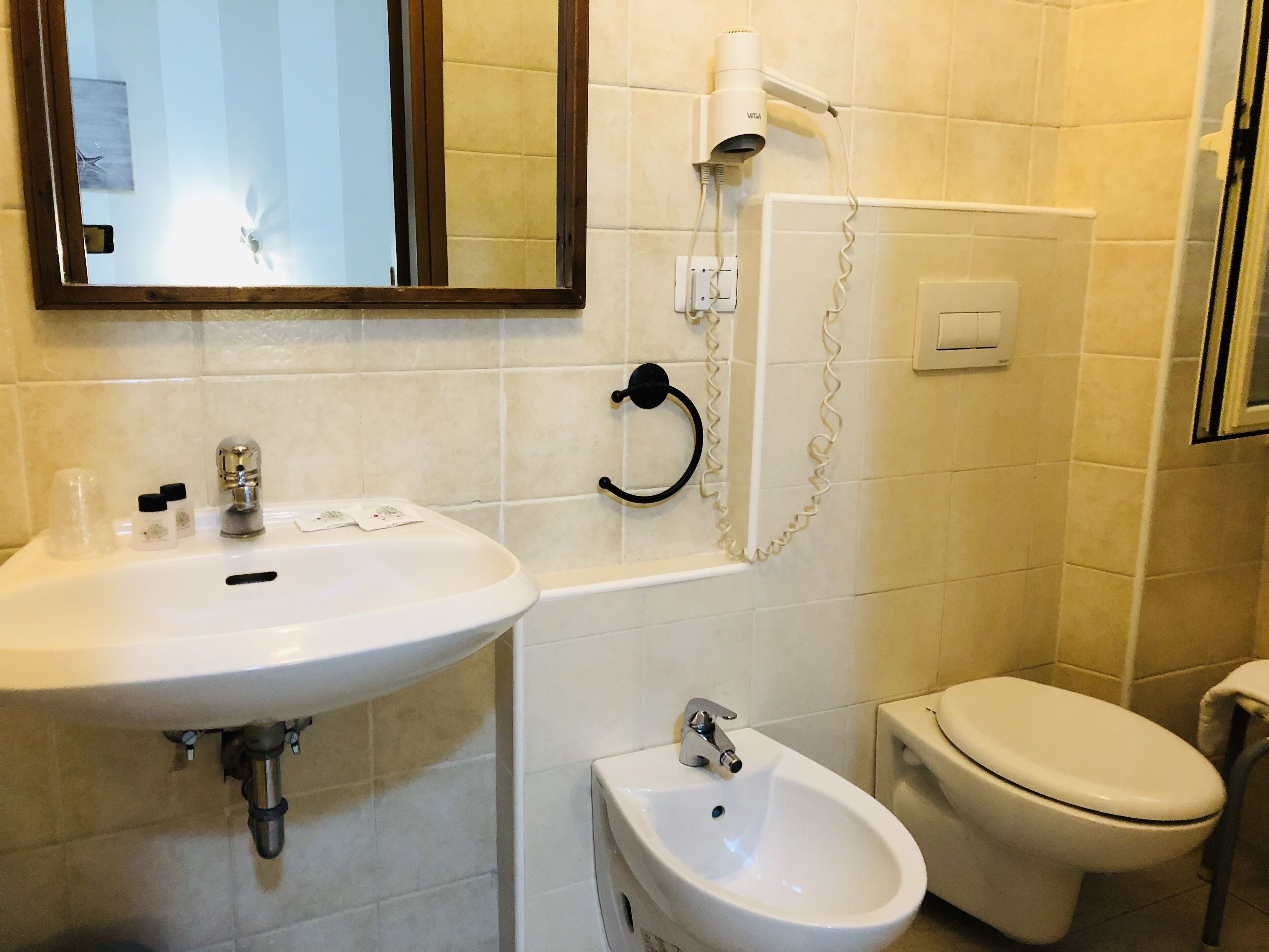 economy double or twin room | bathroom | shower, free toiletries, hair dryer, bidet