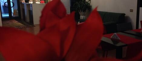Una sala de estar con un reloj grande en la pared, un sofá verde y una flor roja en primer plano.