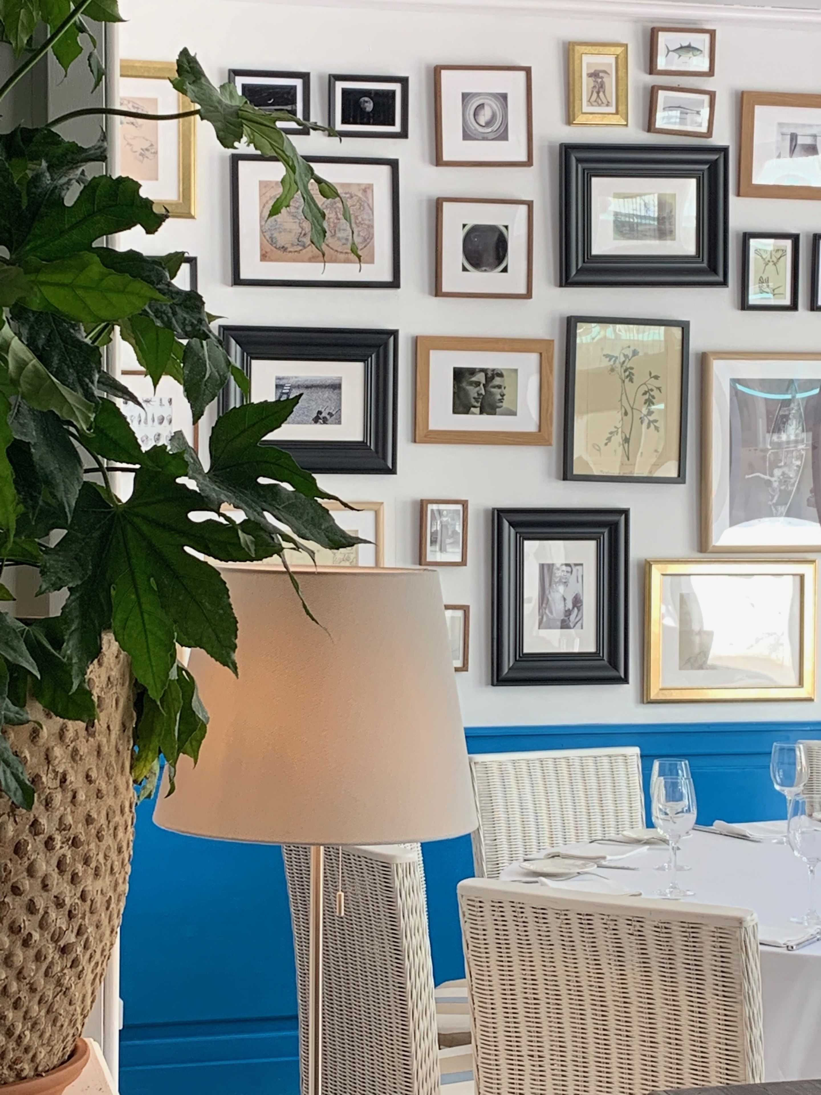 A room with a wall adorned with framed pictures, a large potted plant, a table set with glasses, and wicker chairs.