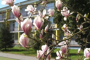 Garden - Verano (Kolobrzeg)