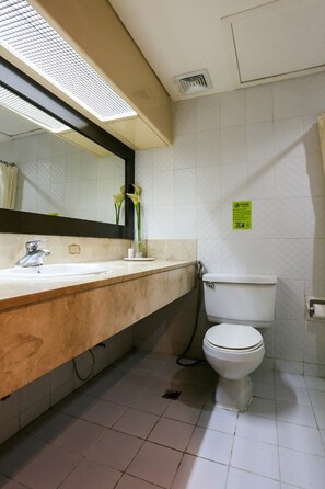 Shower, free toiletries, hair dryer, slippers