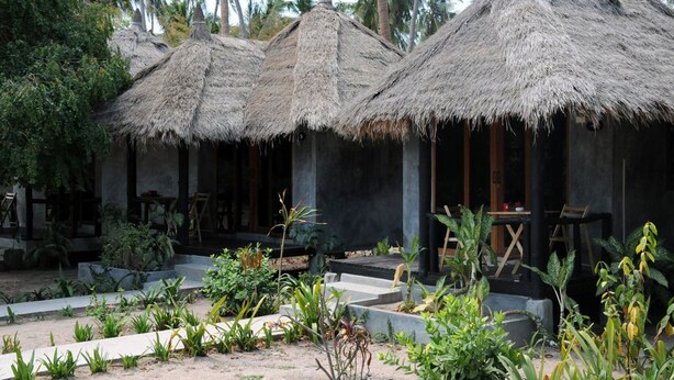 Ein tropisches Resort mit strohgedeckten Hütten, einem Garten mit verschiedenen Pflanzen und Palmen im Hintergrund.