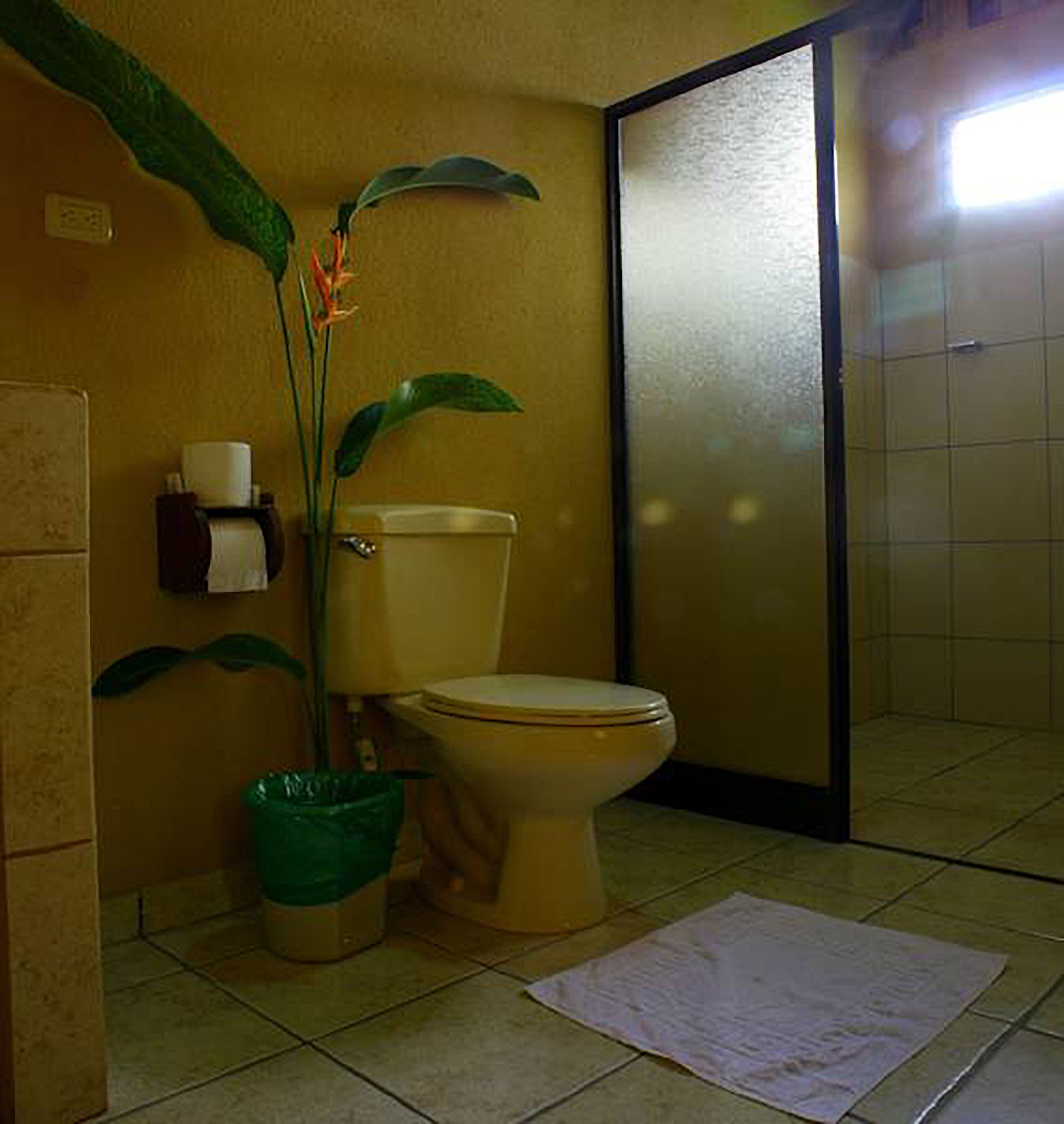 standard room | bathroom | shower, free toiletries, hair dryer, towels