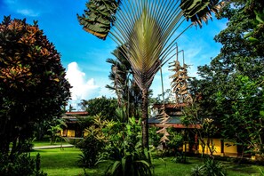 View from property - Catarata Eco-Lodge (La Fortuna)