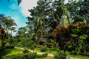 View from property - Catarata Eco-Lodge (La Fortuna)