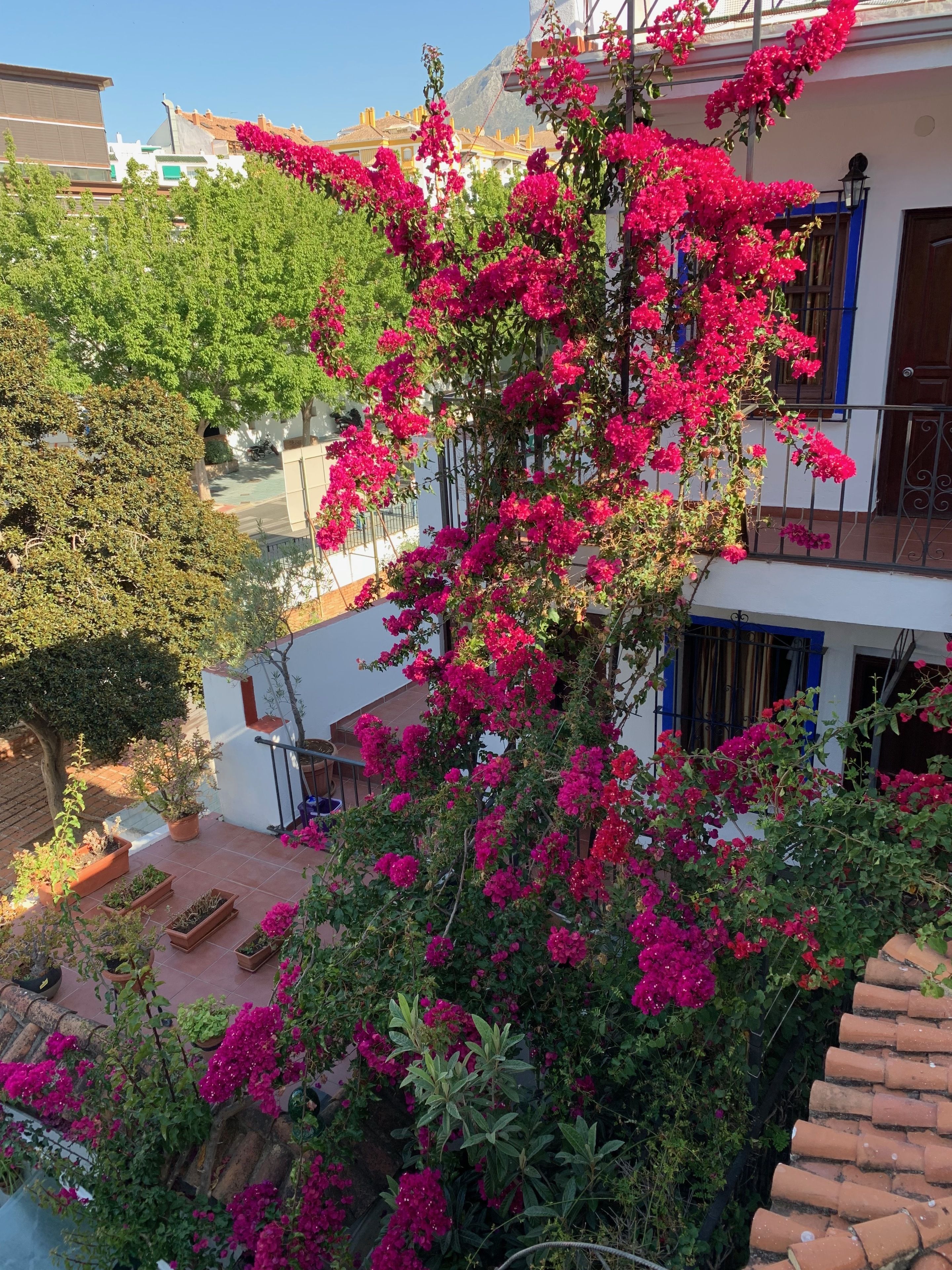 Photo - Pensión Aduar