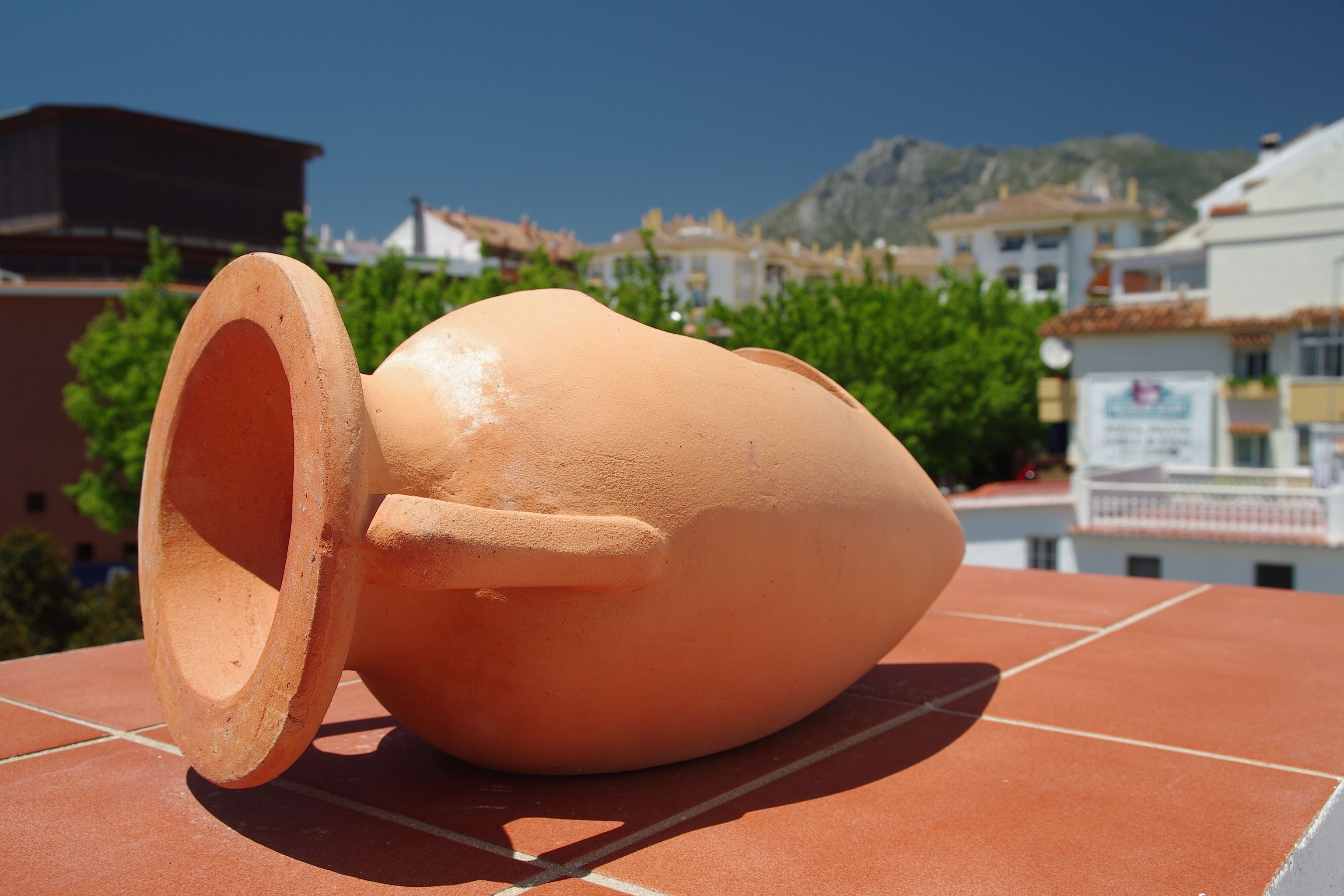 Una maceta de terracota sobre una superficie de baldosas, con edificios y vegetación al fondo.