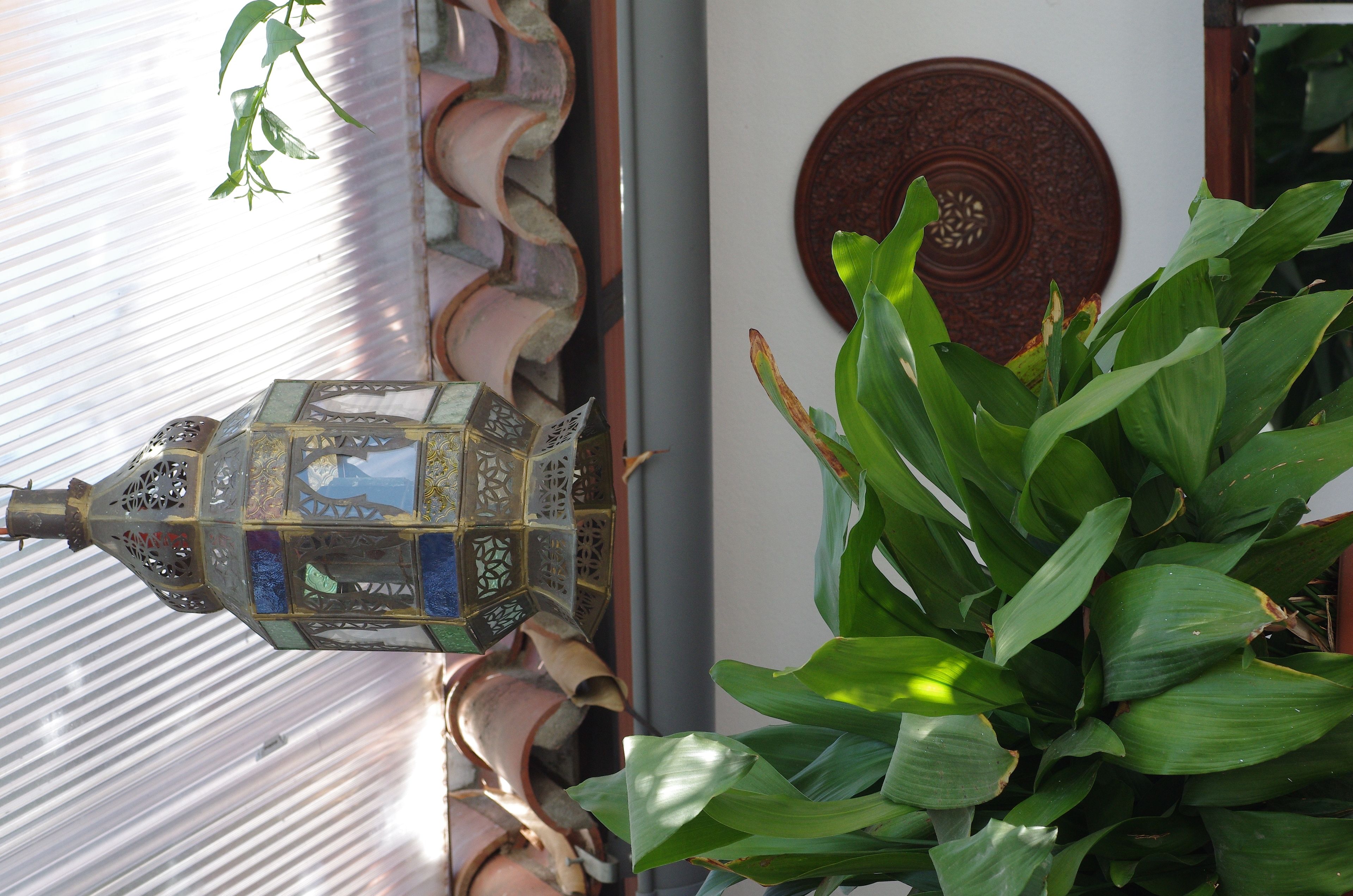 A traditional lantern with intricate designs, a decorative wall plate, and lush green foliage.