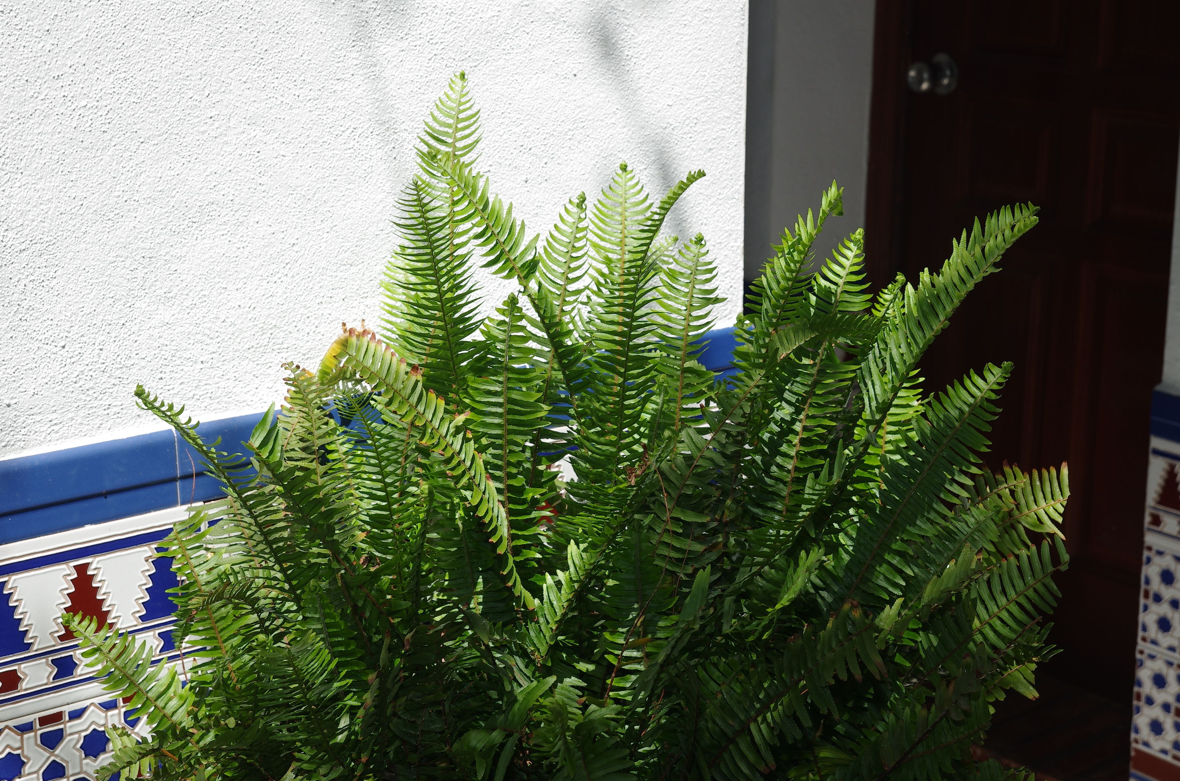 Photo - Pensión Aduar