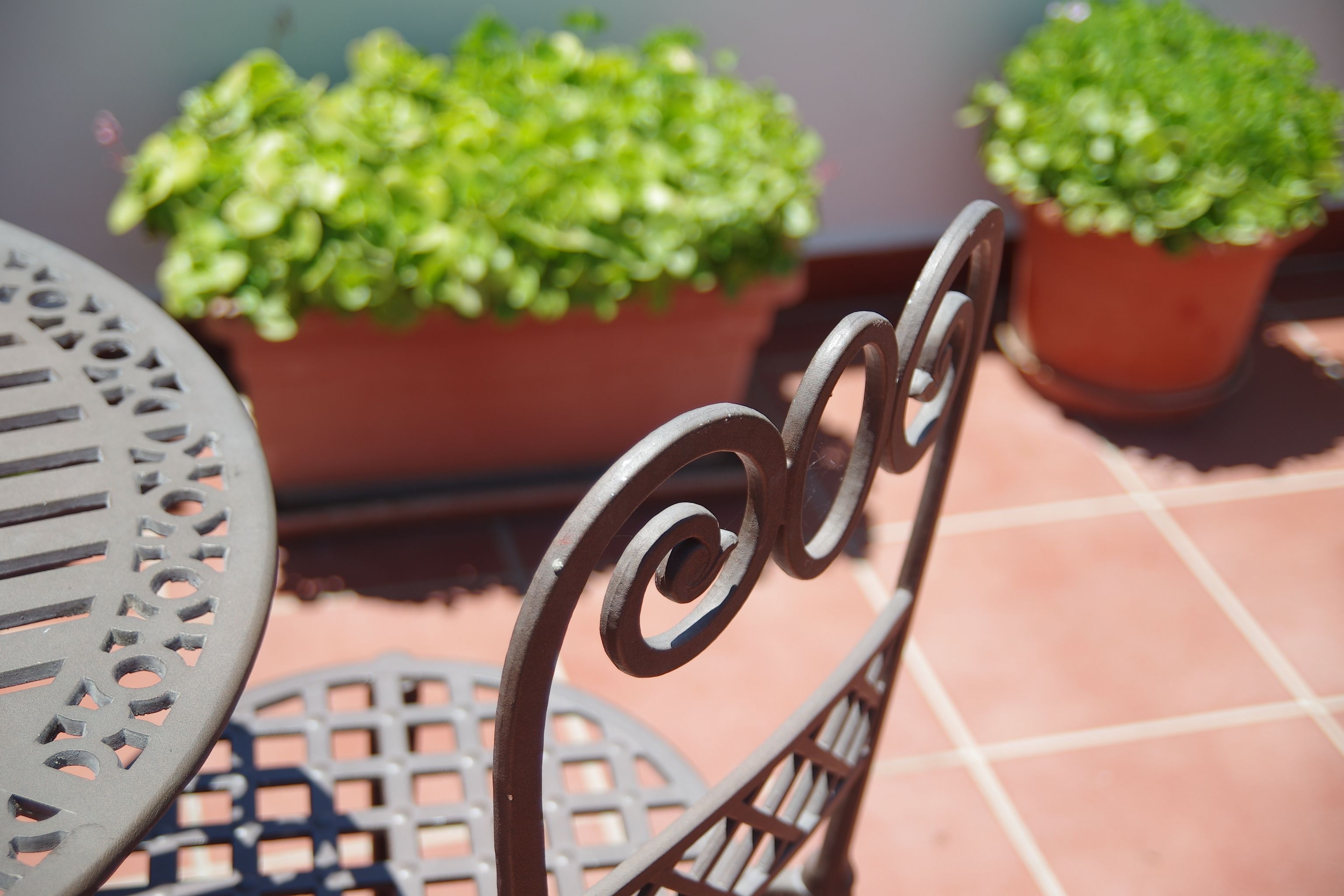 A metal outdoor chair with a spiral backrest, a metal table with a circular cut-out design, and two potted plants in the background.