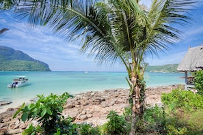 Beach nearby, 5 beach bars, kayaking - Phi Phi Cozy Seafront Resort (Ko Phi Phi)