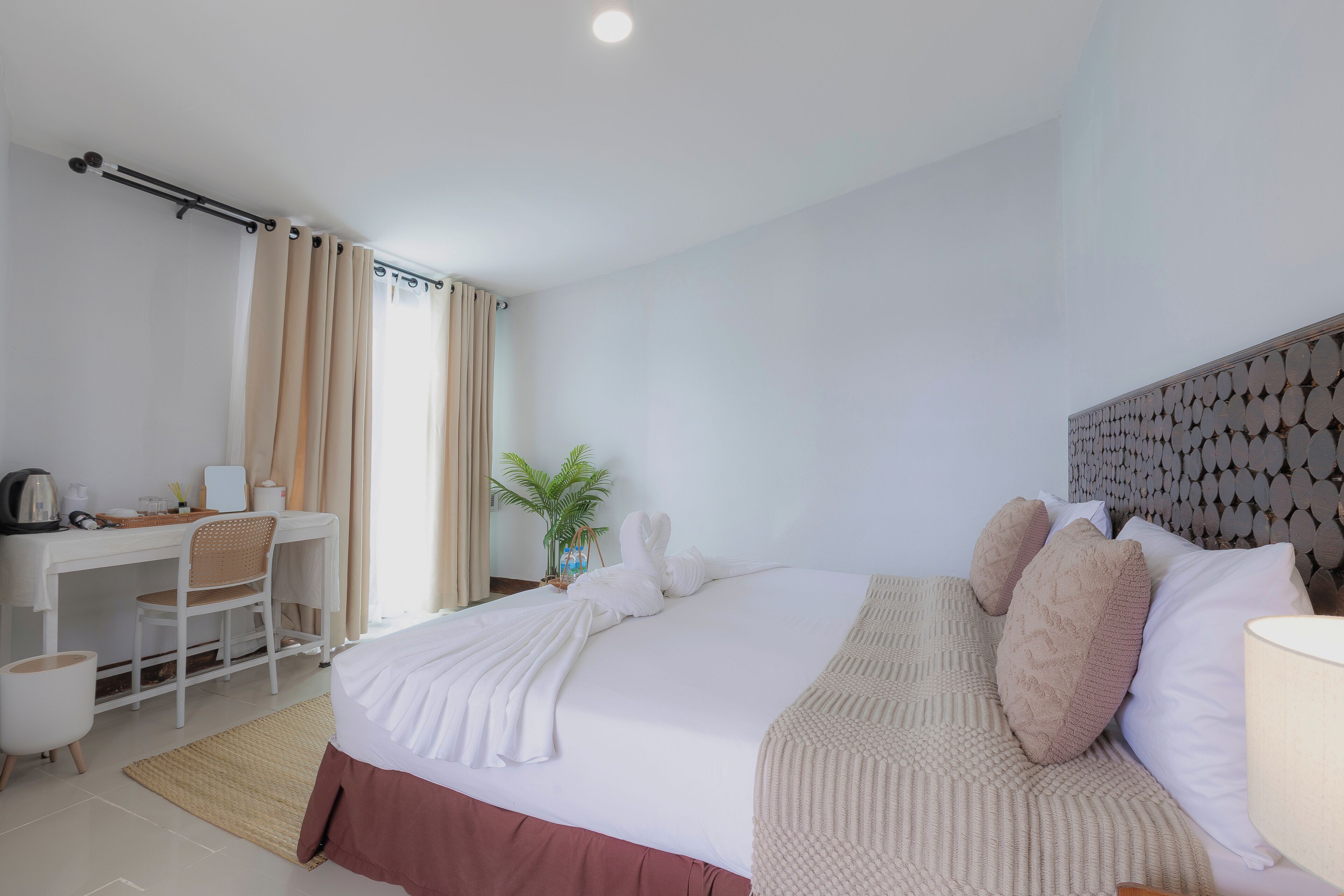 A hotel room with a bed, desk, chair, and a potted plant.