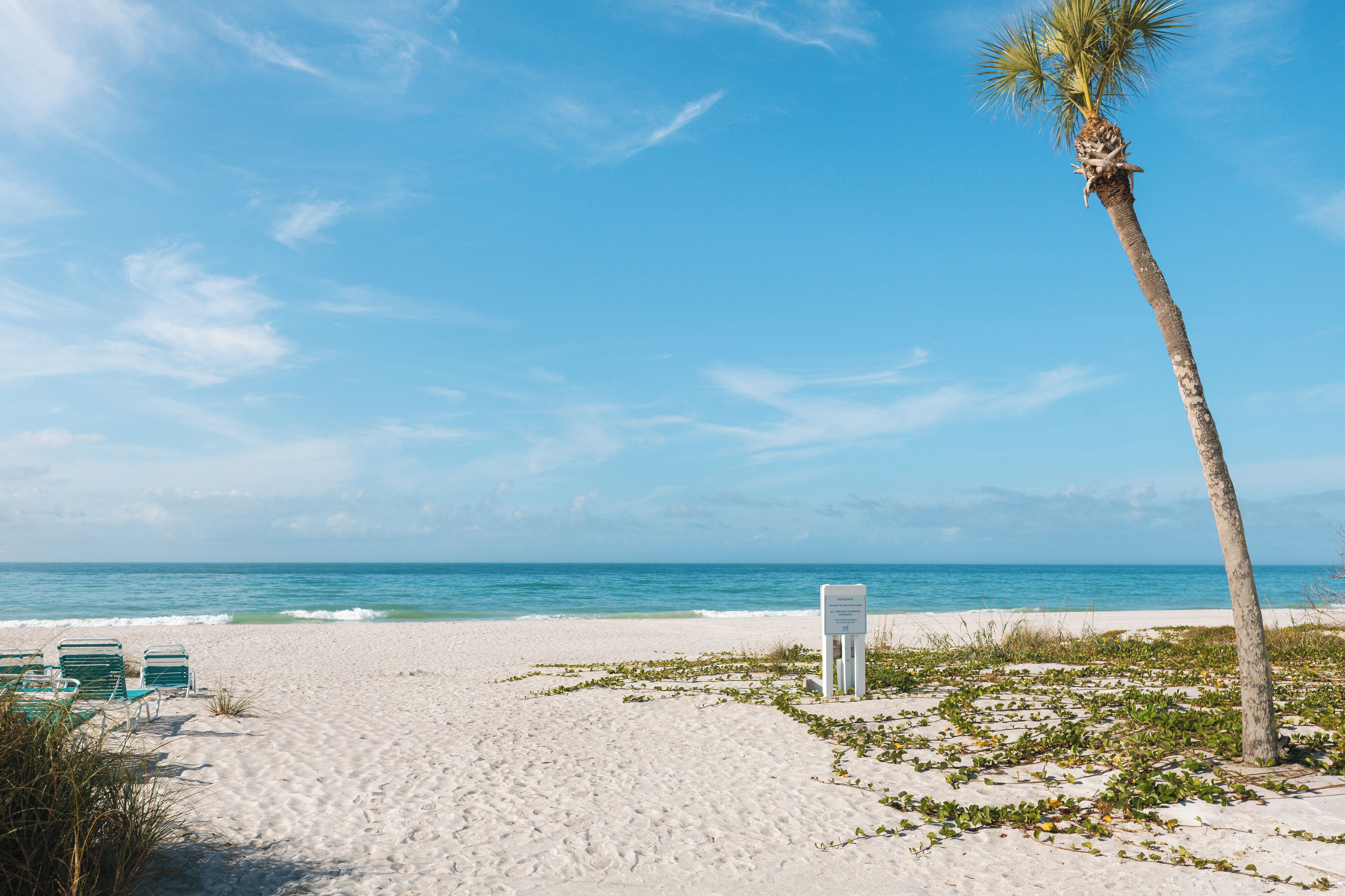 Una playa de arena blanca, una palmera y un letrero.