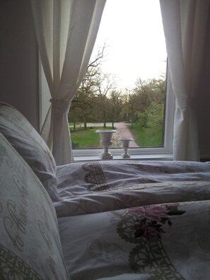 Vista desde la habitación