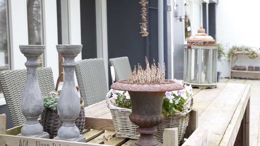 Bed & Breakfast Rijsterbosch