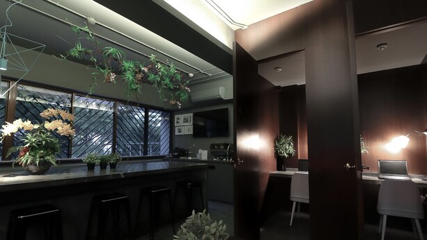 Cocina moderna con barra, plantas colgantes, un ventanal grande y zona de comedor con una laptop sobre la mesa.