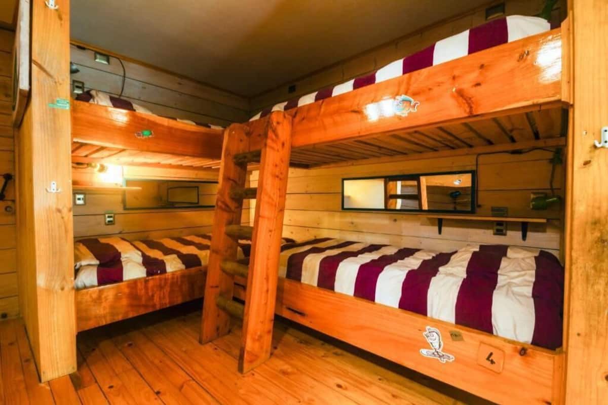 Single bed in 6-Bed share Dormitory  | Ropa de cama hipoalergénica, minibar, wifi gratis y ropa de cama