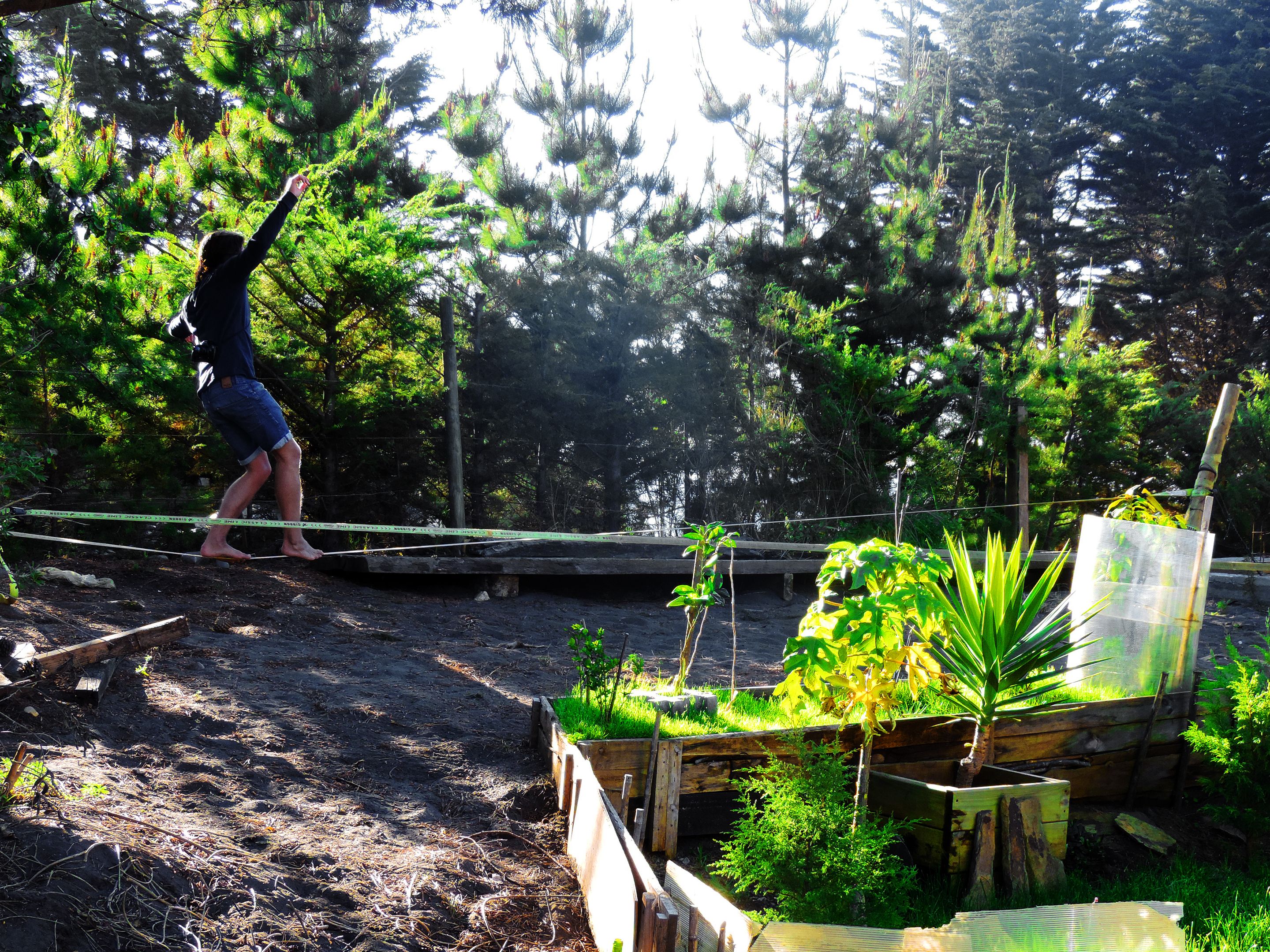 A person walking on a rope bridge in a forested area with wooden structures and greenery.