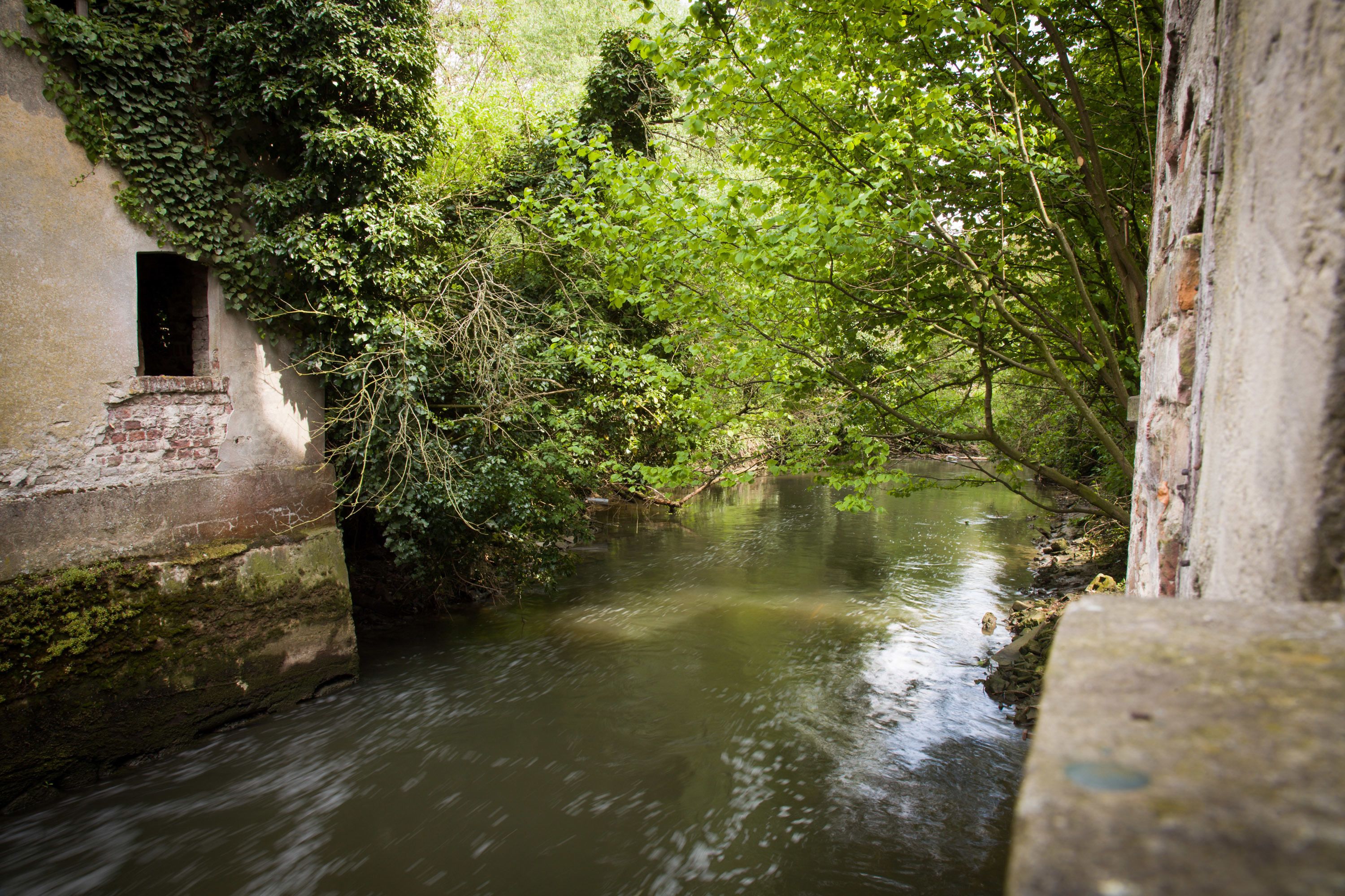 Foto - B&B De Dubbelmolen