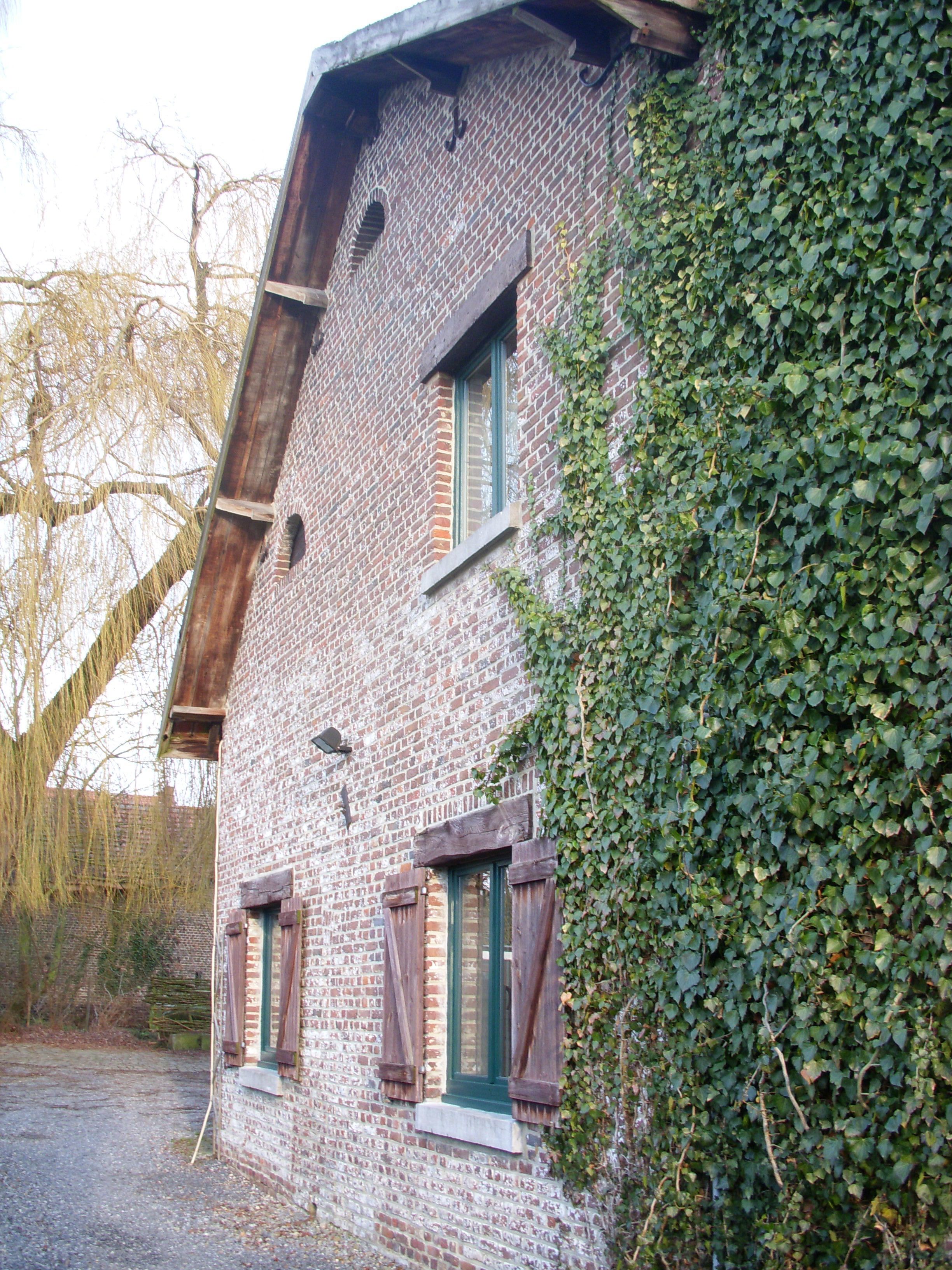 Foto - B&B De Dubbelmolen