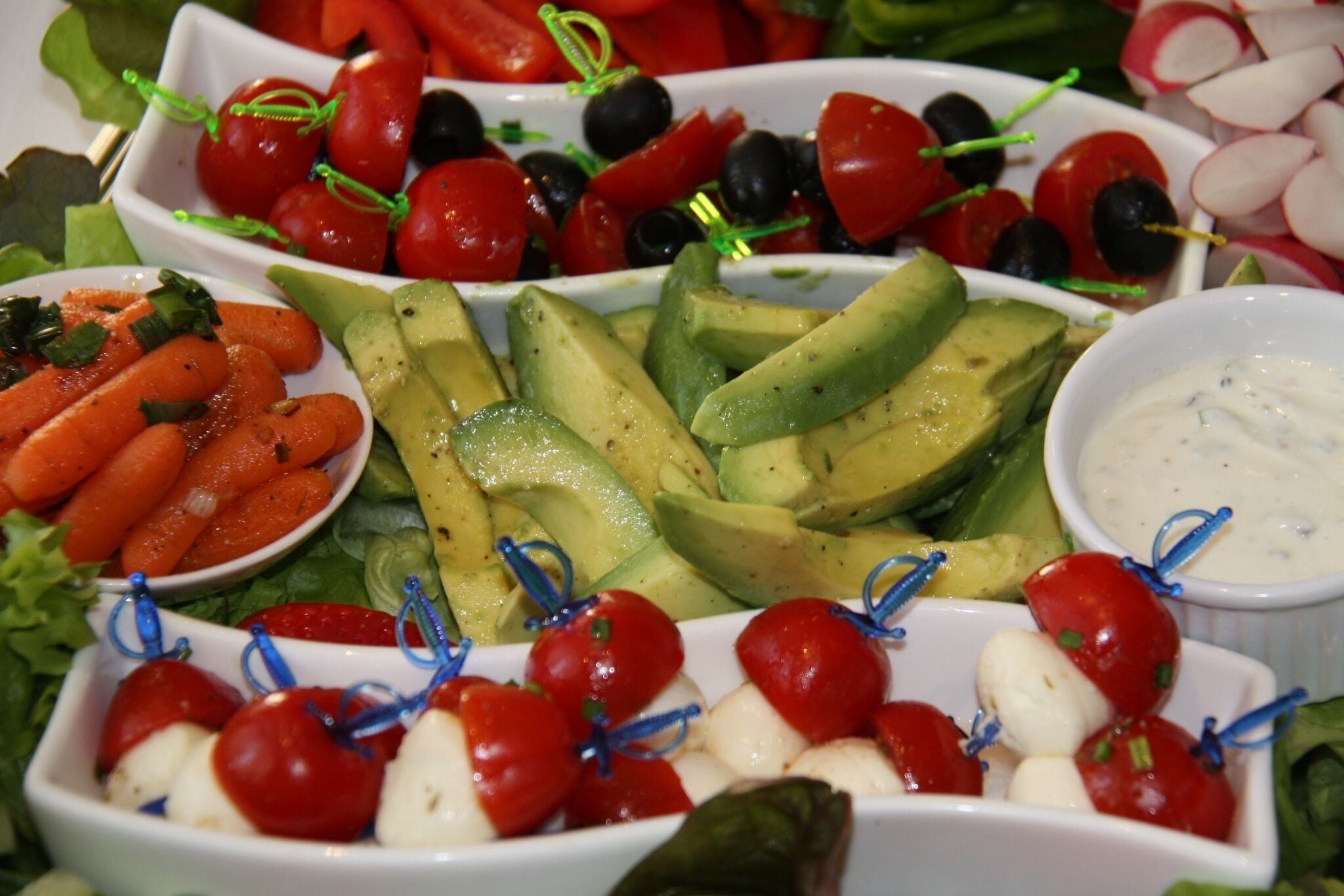 Foto - Alexander am Zoo