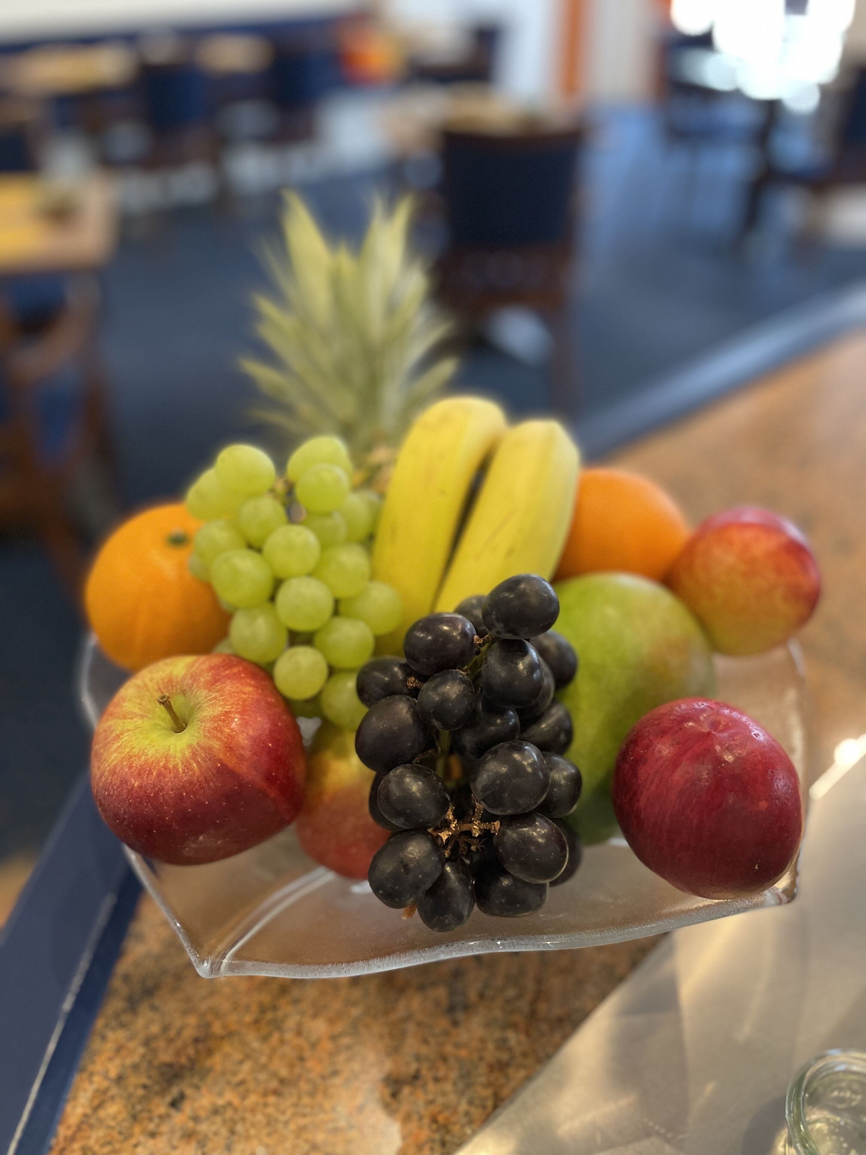 Foto - Alexander am Zoo