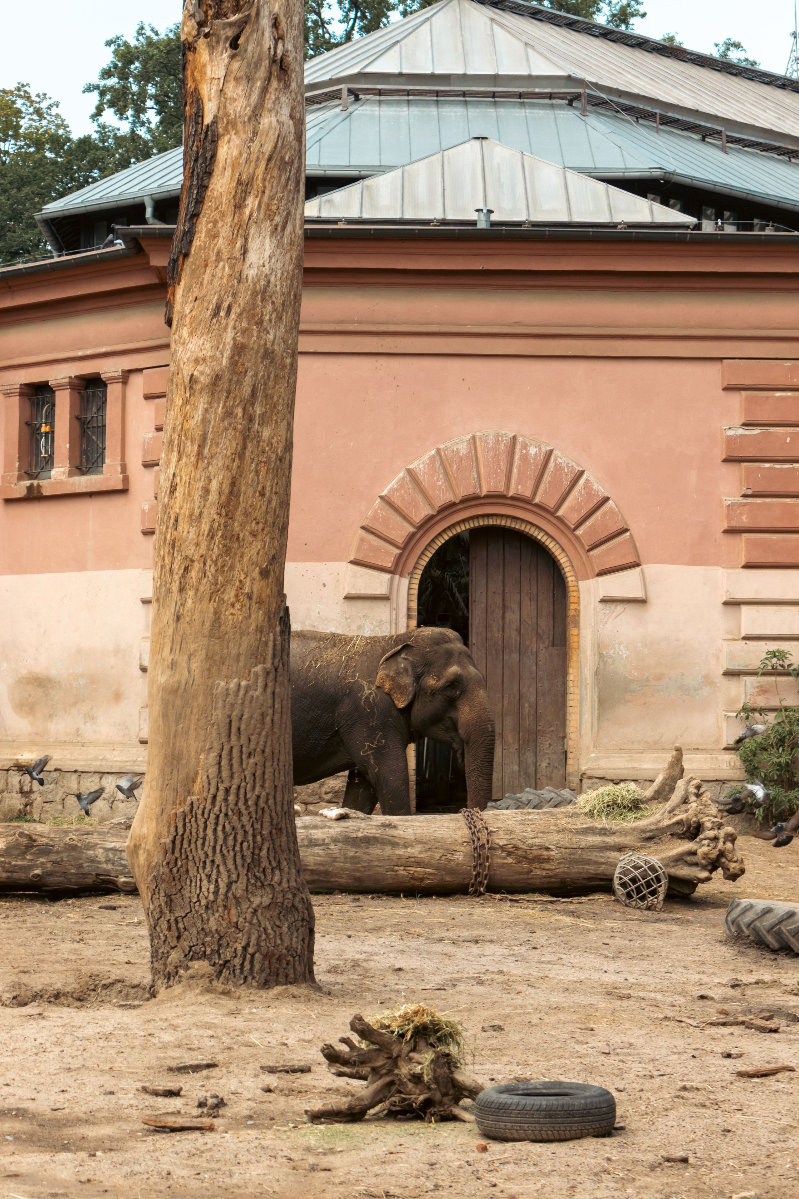 Foto - Hotel Alexander am Zoo