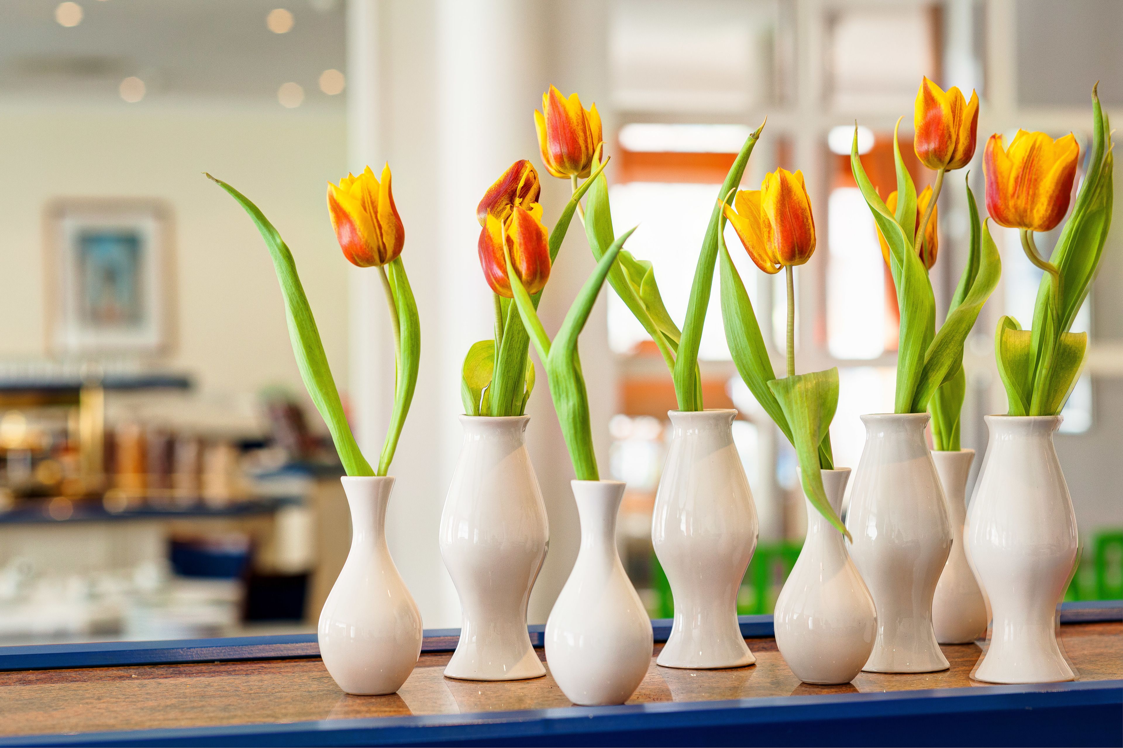 daily buffet breakfast (eur 19 per person)