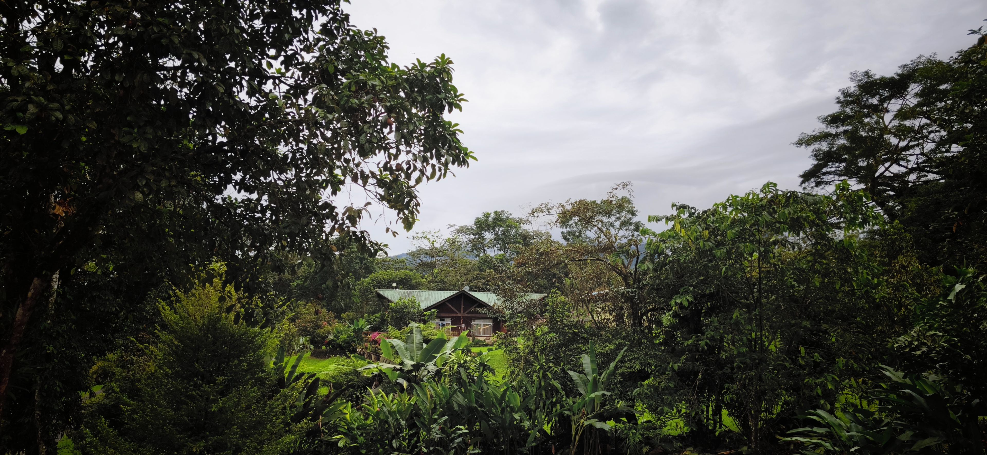 A house surrounded by dense foliage with a clear sky above.
