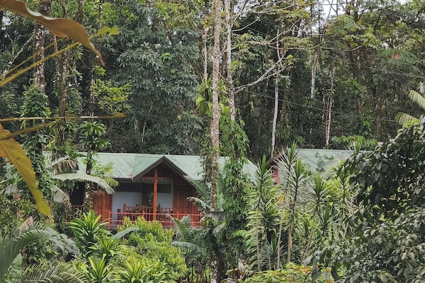 Basic Room | Front of property