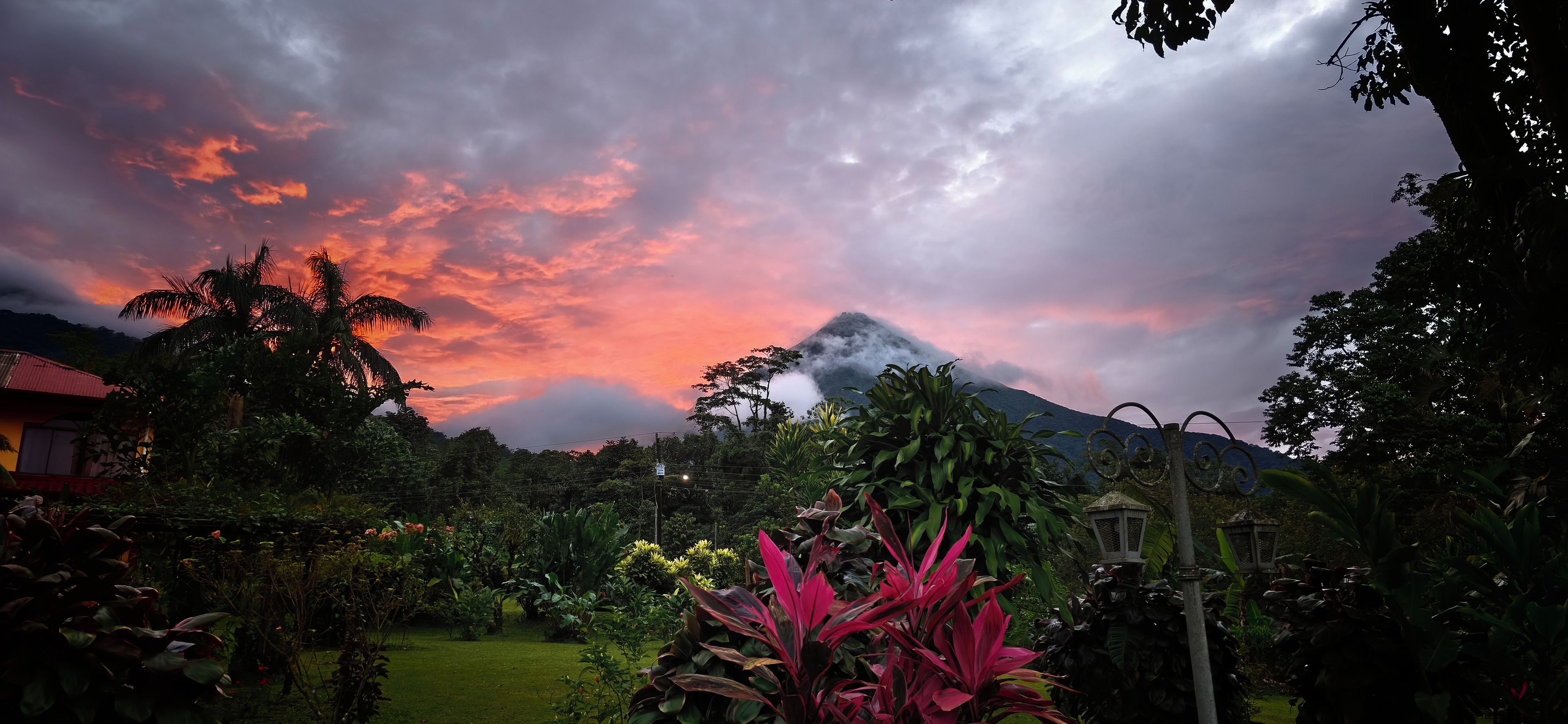 Un jardin planté de végétaux tropicaux, avec une montagne en arrière-plan.