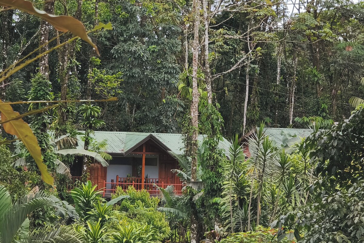 Basic Room | Premium bedding, blackout drapes, WiFi (free), individually furnished
