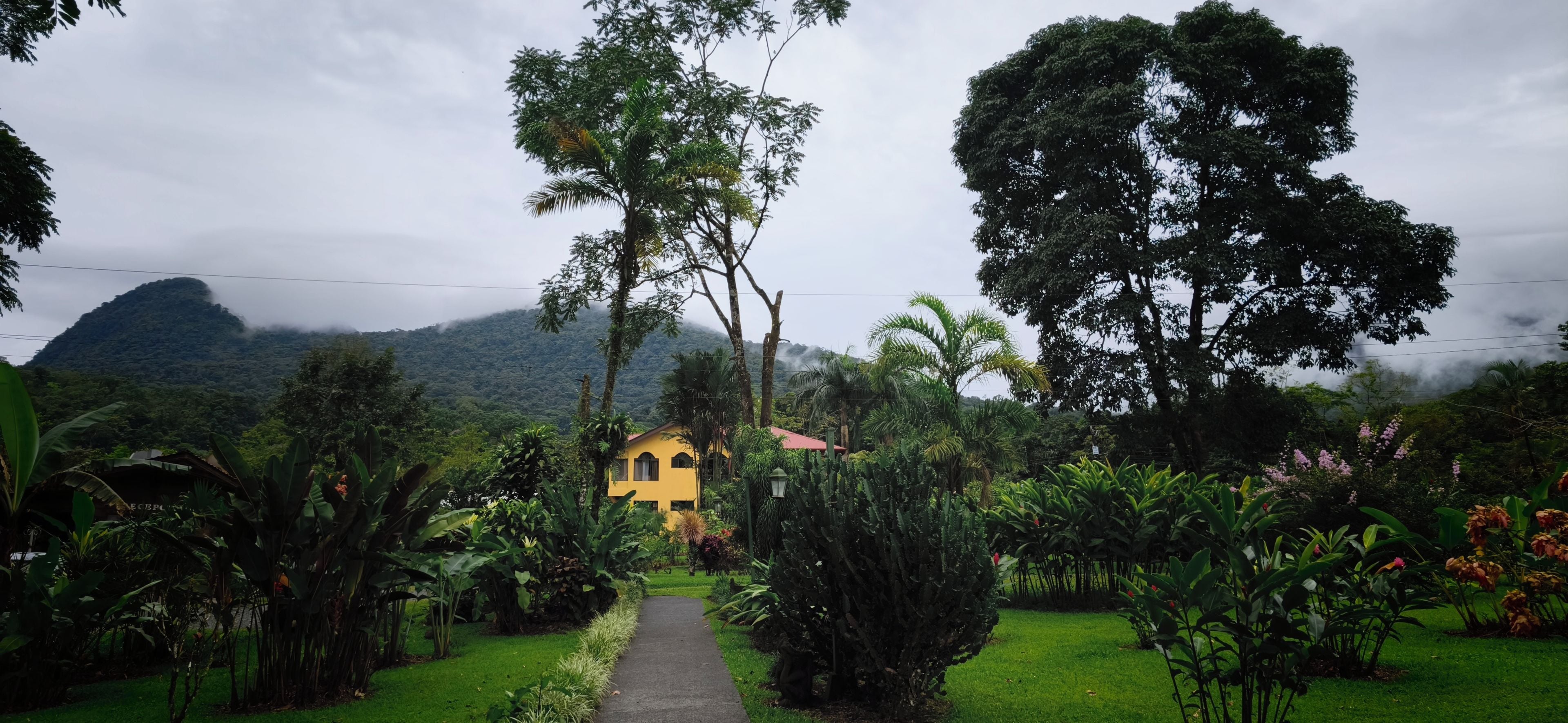 A pathway leading to a yellow building surrounded by lush greenery and a mountain in the background.