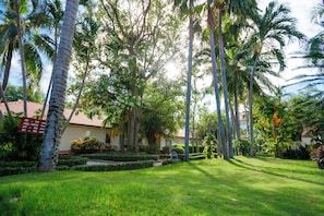 Bungalow, Garden View | View from room