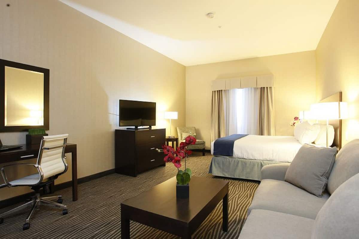 Room, 1 King Bed, Accessible